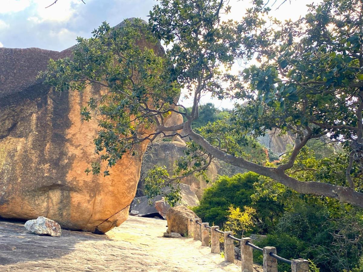 Big Cave Camp *